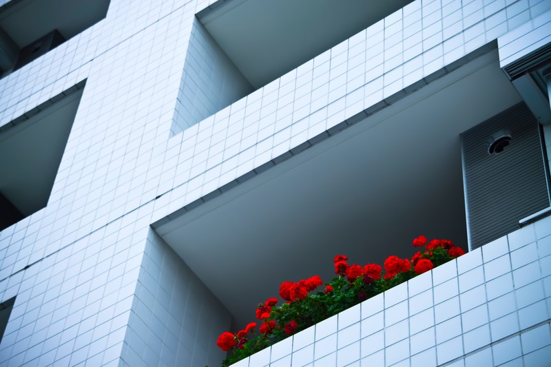 PP_mantionakaihana_TP_V4